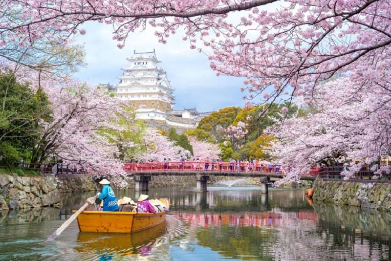 tips memilih paket tour Jepang