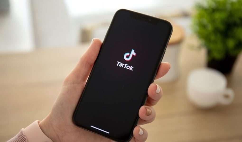 Pentingnya Jasa Followers TikTok untuk SelebTok Pemula