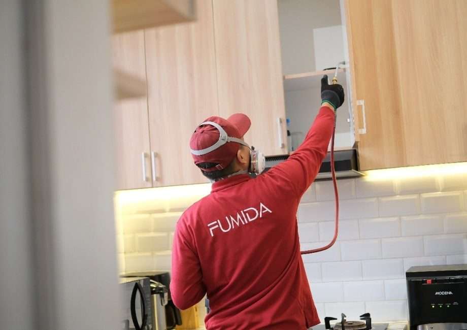 Pentingnya Menggunakan Jasa Anti Rayap Fumida untuk Perlindungan Bangunan