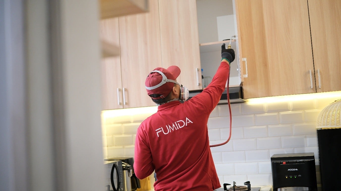 Pentingnya Menggunakan Jasa Anti Rayap Fumida untuk Perlindungan Bangunan